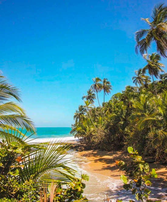 The Most Instagrammable Spots in Costa Rica