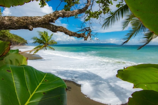 Matapalo Beach at Puerto Jimenez