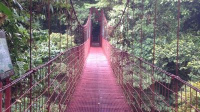 6 Reasons To Add Monteverde To Your Bucket List