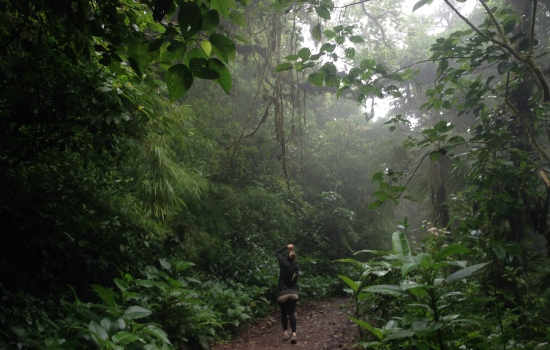 Monteverde Cloud Forest Hike in Costa Rica
