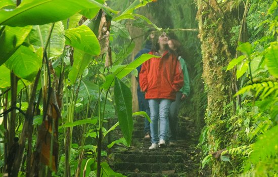 Things to Do at Monteverde Cloud Forest Reserve