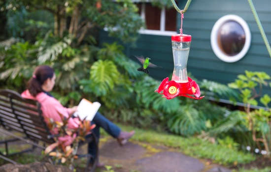 Monteverde Lodge and Gardens, Costa Rica