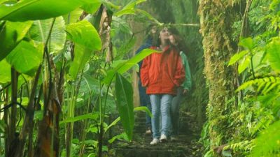 Monteverde Night Walk
