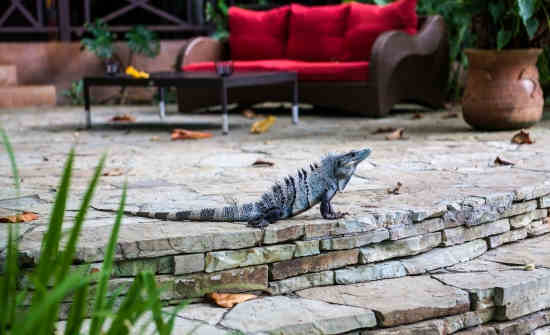 Things to Do on the Nicoya Peninsula, Costa Rica