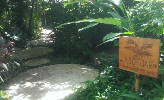 A Costa Rica Blue Zone Retreat on the Nicoya Peninsula
