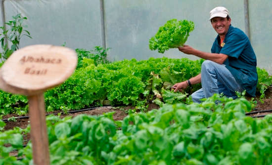 Sustainable Travel in Costa Rica