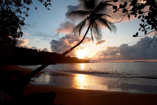 Beach sunset from Copa de Arbol on the Osa Peninsula