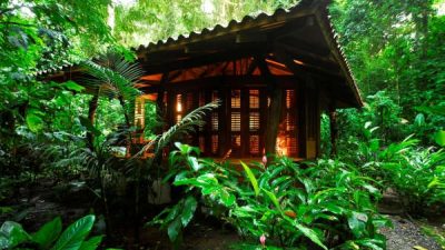 Stay at Playa Nicuesa Rainforest Lodge, Costa Rica