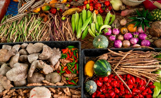 Produce from Orgins Lodge garden