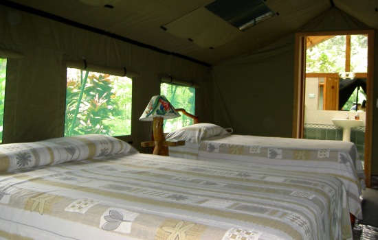 Stay at Rafiki Safari Tent Camp, Costa Rica