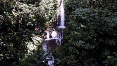 Rainmaker Reserve Hike