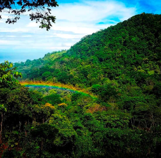 Adventure Meets Luxury in Costa Rica