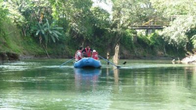 Safari Float Jacamar