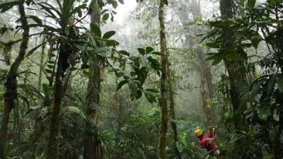 San Luis Canopy Zipline Tour
