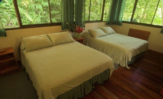 Stay at Selva Verde Lodge, Costa Rica