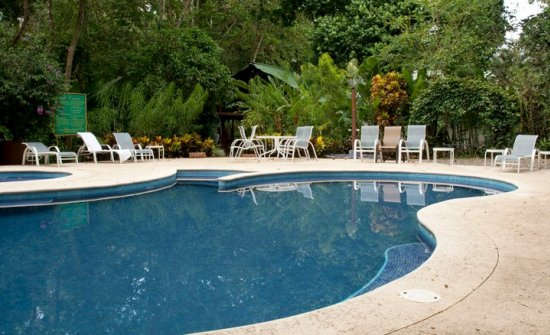 Stay at Selva Verde Lodge, Costa Rica