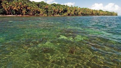 Snorkel and Hike Cahuita National Park