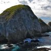 Snorkeling Tour of Catalina Islands
