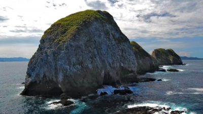 Snorkeling Tour of Catalina Islands