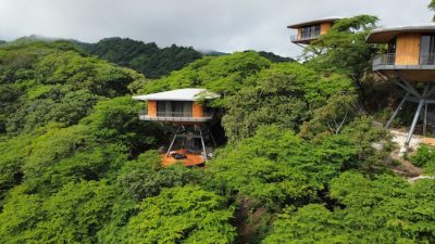 Suitree Experience Hotel