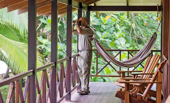 Top Ten Birding Destinations in Costa Rica