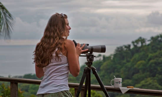 Top Ten Birding Destinations in Costa Rica