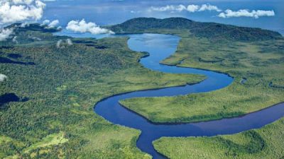Terraba Sierpe National Wetlands Tour by Boat
