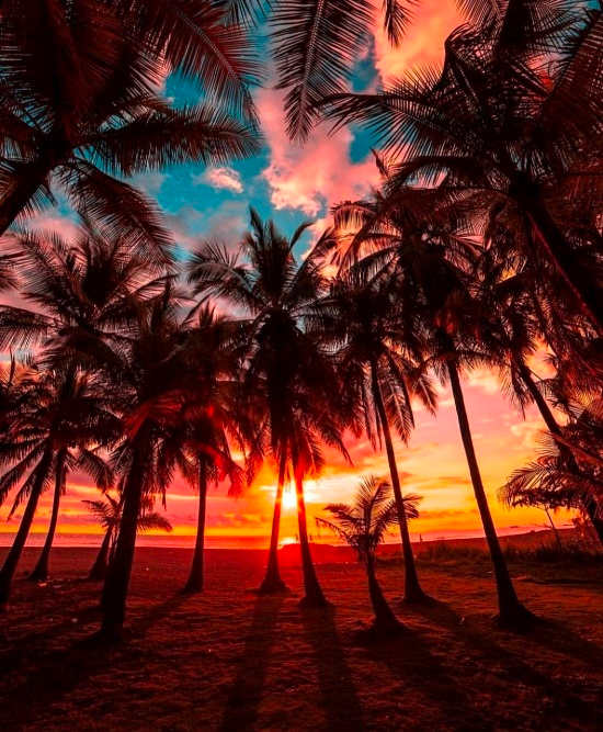 The Most Instagrammable Spots in Costa Rica