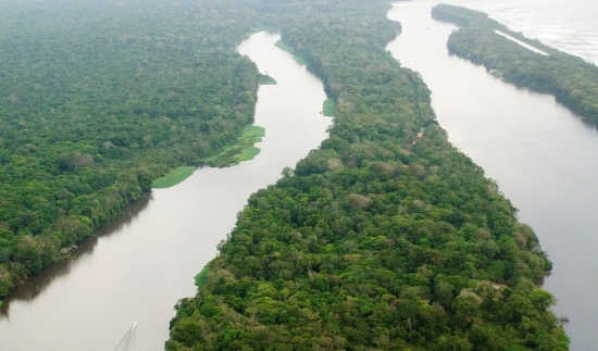 Top Things to do at Tortuguero National Park