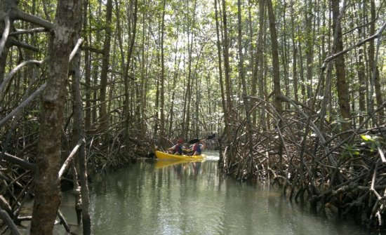 Things to Do from Manuel Antonio & Quepos, Costa Rica