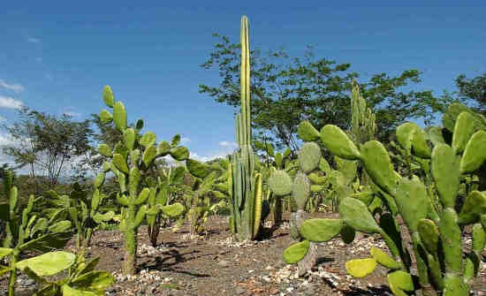 Best Things to Do in Guanacaste