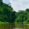 Things to Know Before Visiting Tortuguero National Park