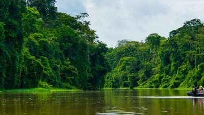 Things to Know Before Visiting Tortuguero National Park