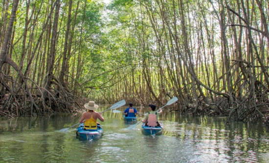 Top Costa Rica Adventure Tours For Active Travelers