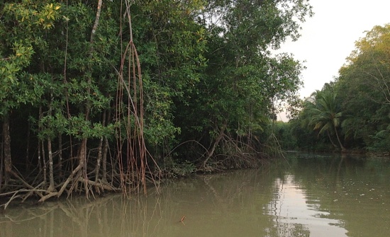 7 TOP COSTA RICA KAYAKING EXCURSIONS