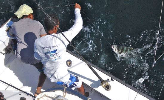 Best Sport Fishing Trips & Marinas in Costa Rica