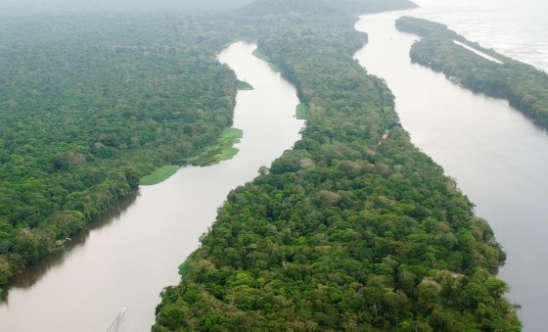 Destination Spotlight: Tortuguero