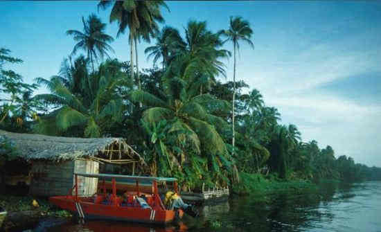 Tortuguero National Park Costa Rica Guide