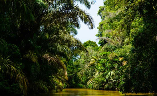 8 BEST COSTA RICA NATIONAL PARKS & RESERVES