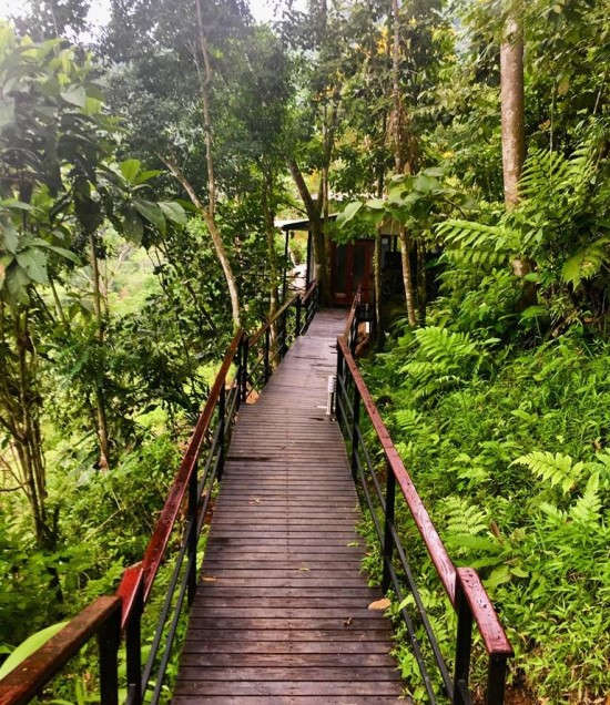 Treehouse at Rancho Pacifico