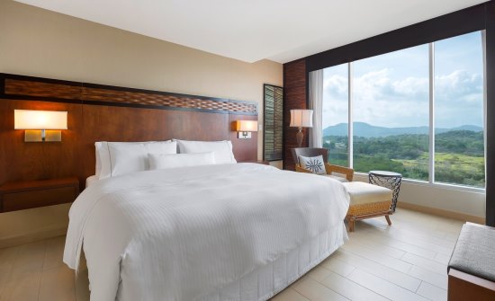 Westin Play Bonita green view suite